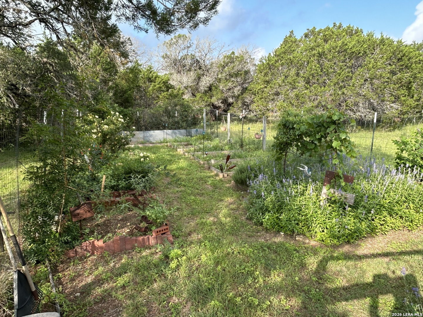 495 Hill Country Drive Pipe Creek TX 78063