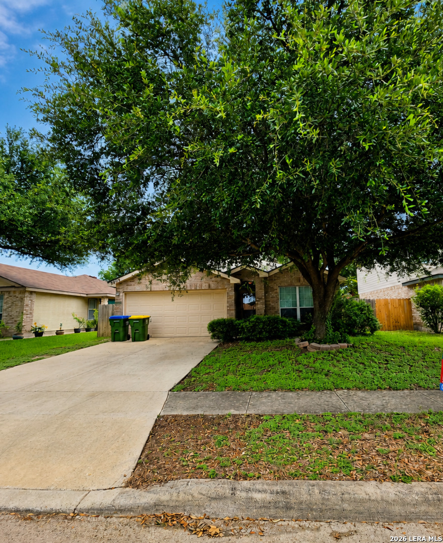 9006 Pinseeker Selma TX 78154