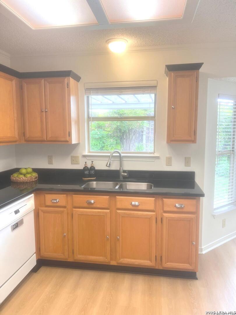 1635 Canyon Parke Drive San Antonio TX 78232