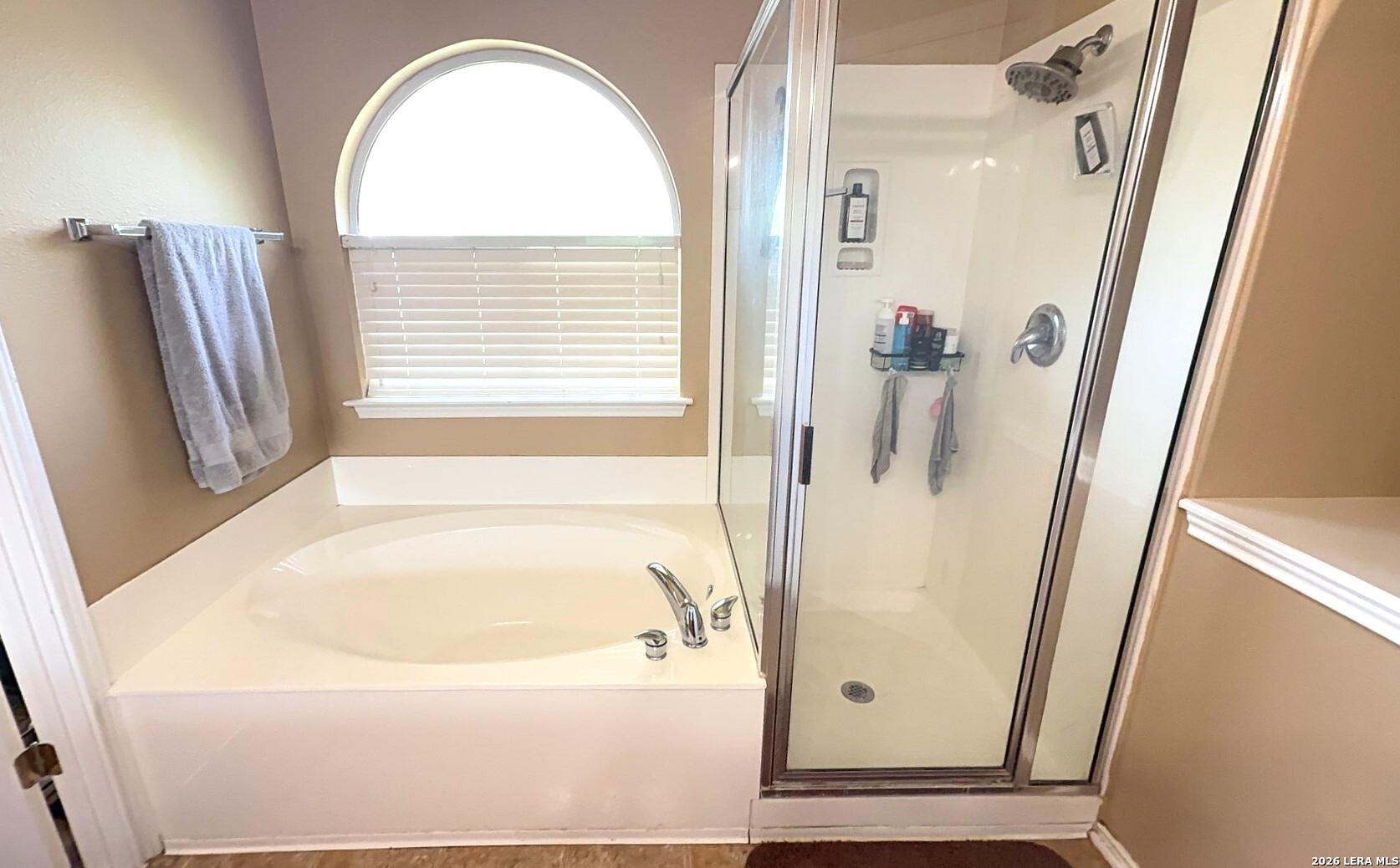 215 Bright Chase San Antonio TX 78253