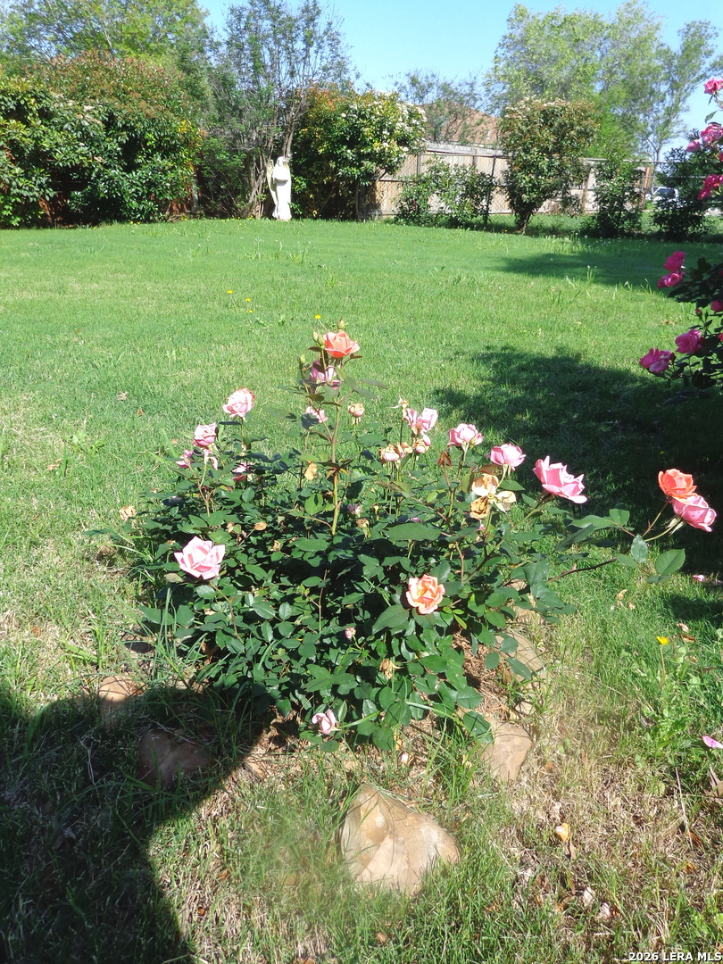 5511 Eaglewood Street San Antonio TX 78233