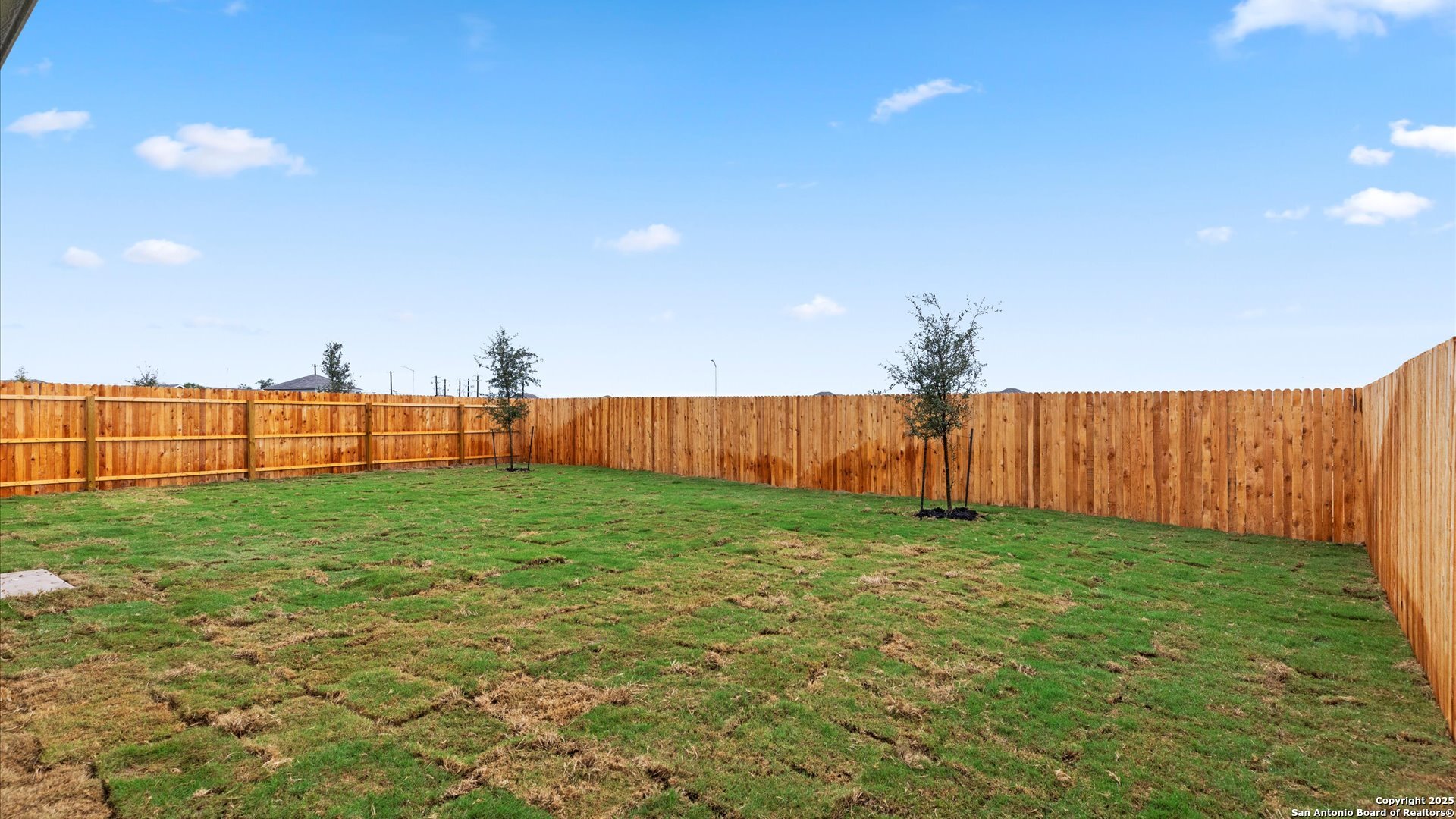 10814 Lillia Branch San Antonio TX 78224