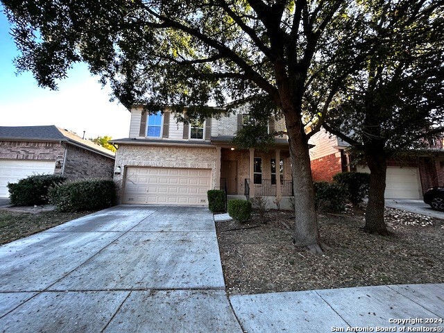 12142 Painted Daisy San Antonio TX 78253