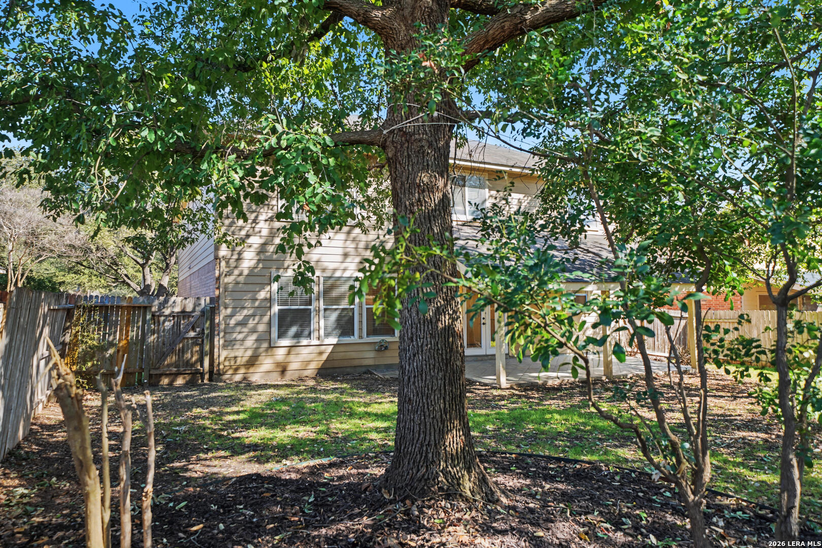 194 Laceleaf Lane Cibolo TX 78108