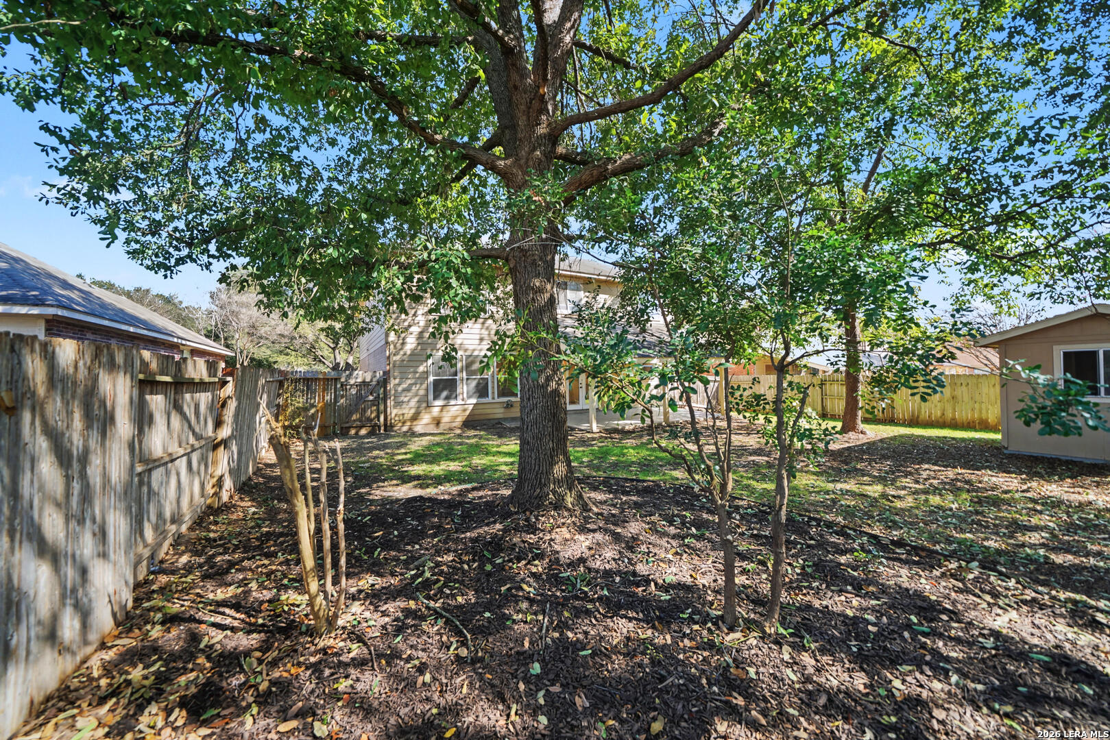194 Laceleaf Lane Cibolo TX 78108