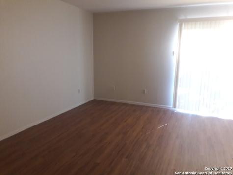 13202 Larkwalk Drive San Antonio TX 78233