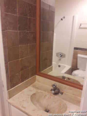 13202 Larkwalk Drive San Antonio TX 78233