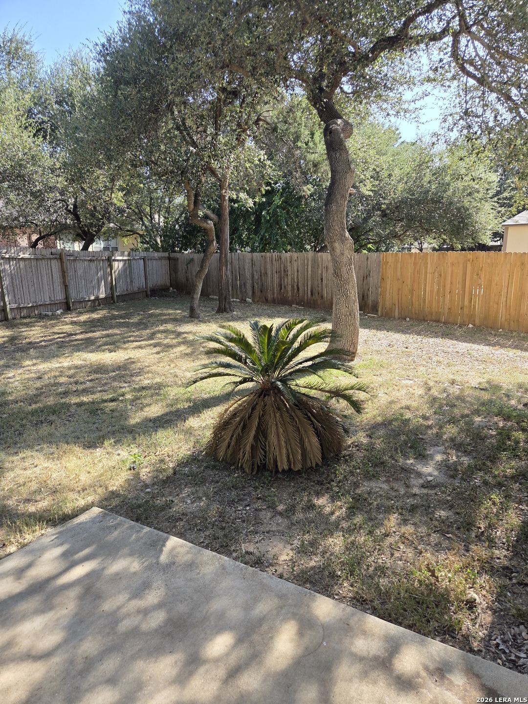 1906 Shoreham San Antonio TX 78260