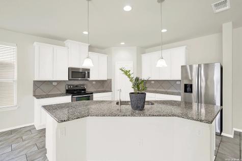 424 Landmark Falls Cibolo TX 78108