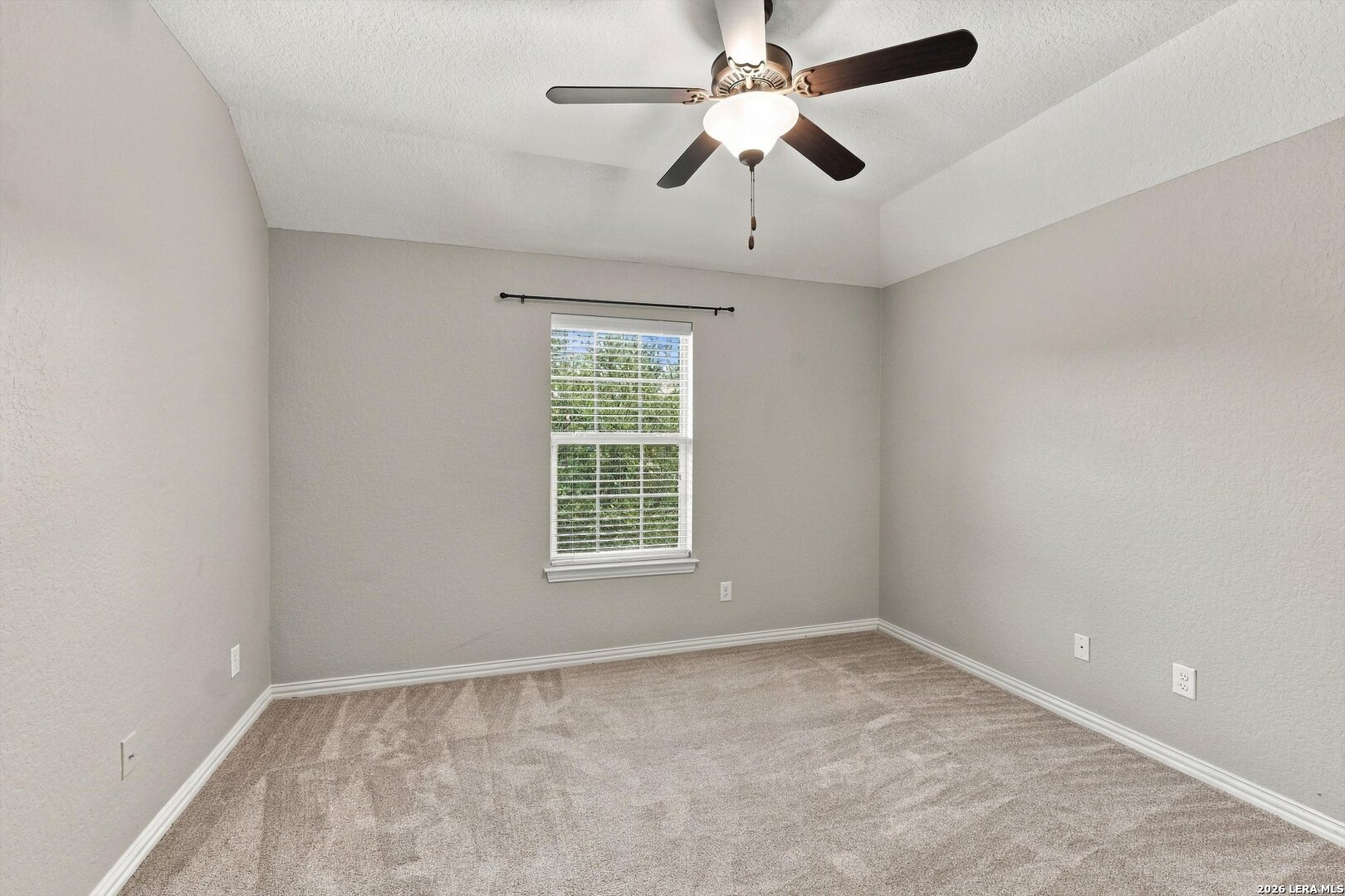 3834 Ox-eye Daisy San Antonio TX 78261