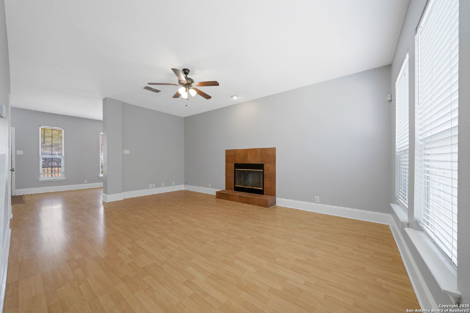 251 Red Hawk Ridge San Antonio TX 78258