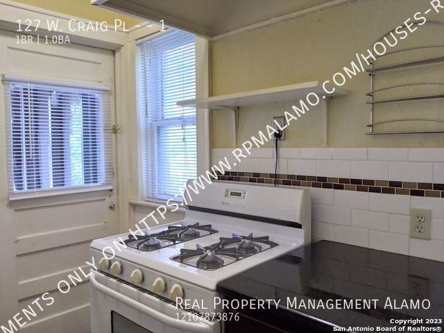 127 W Craig Place San Antonio TX 78212