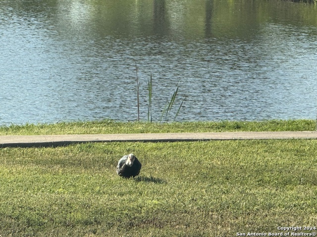 1242 Big Lake San Antonio TX 78245