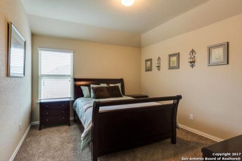 517 Saddle Back Trail Cibolo TX 78108