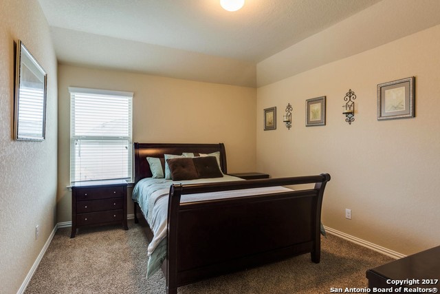 517 Saddle Back Trail Cibolo TX 78108