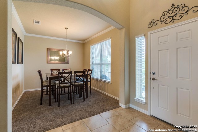 517 Saddle Back Trail Cibolo TX 78108