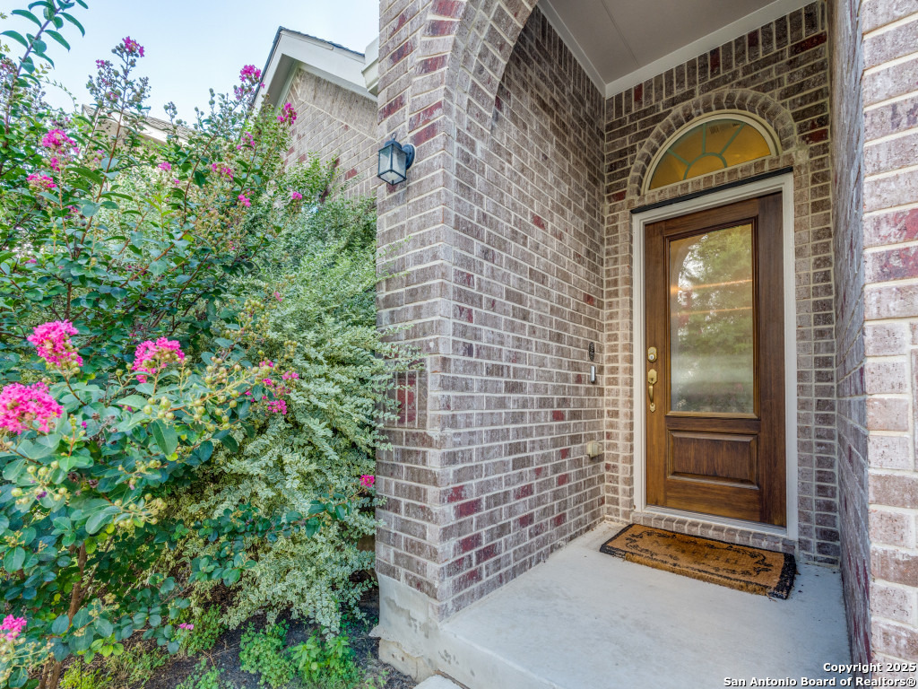 226 Fernwood Drive Cibolo TX 78108