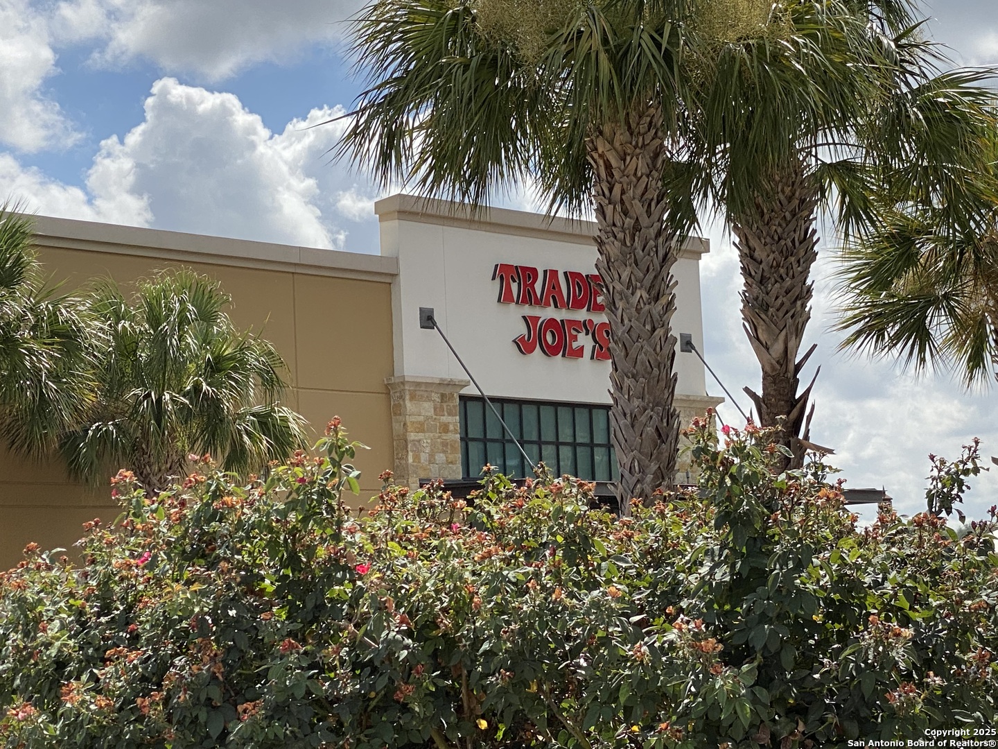 1511 E Sandalwood Lane San Antonio TX 78209