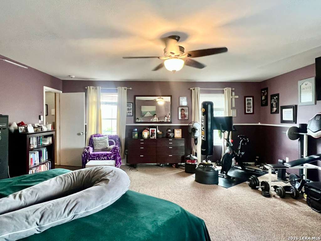 16406 Clydesdale Selma TX 78154