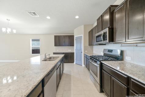 15502 Gray Catbird San Antonio TX 78253