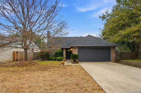 13802 Blenhein Ridge San Antonio TX 78231