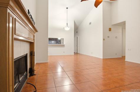 13802 Blenhein Ridge San Antonio TX 78231