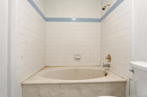 13802 Blenhein Ridge San Antonio TX 78231