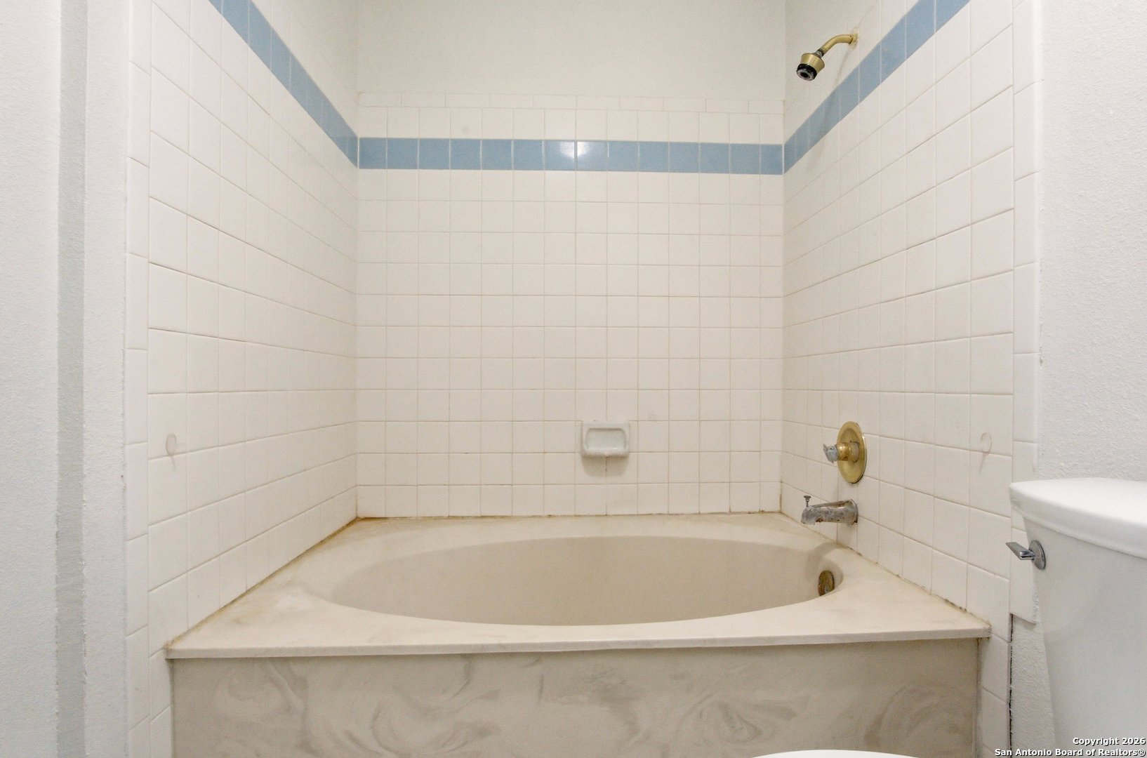 13802 Blenhein Ridge San Antonio TX 78231
