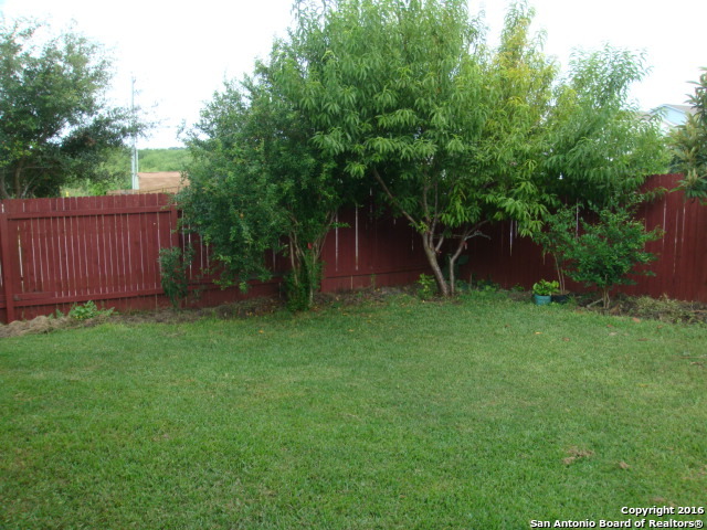 272 Hinge Chase Cibolo TX 78108