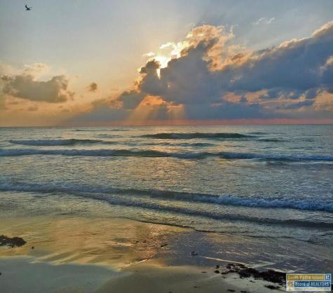 310A Padre Boulevard South Padre Island TX 78597