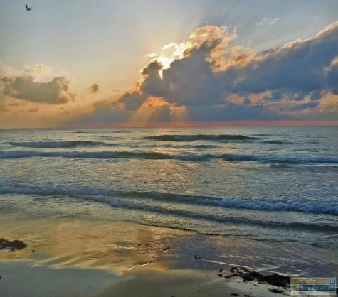 4100 Gulf Boulevard South Padre Island TX 78597