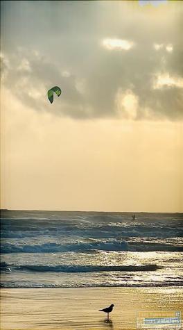 2000 Gulf Boulevard South Padre Island TX 78597