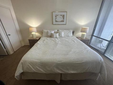 Padre Boulevard South Padre Island TX 78597