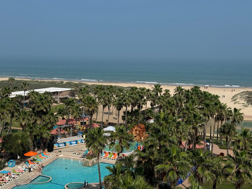 Padre Boulevard South Padre Island TX 78597
