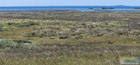 Lot 40 Tract 25 South Padre Island TX 78597