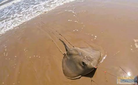 Tract 55 N Ocean Boulevard South Padre Island TX 78597