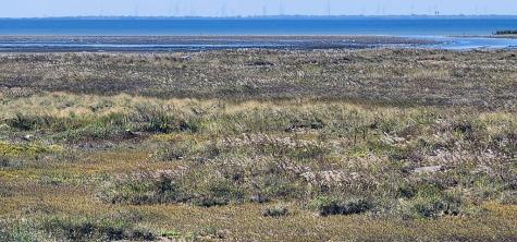 Lot 97 Tract 25 South Padre Island TX 78597
