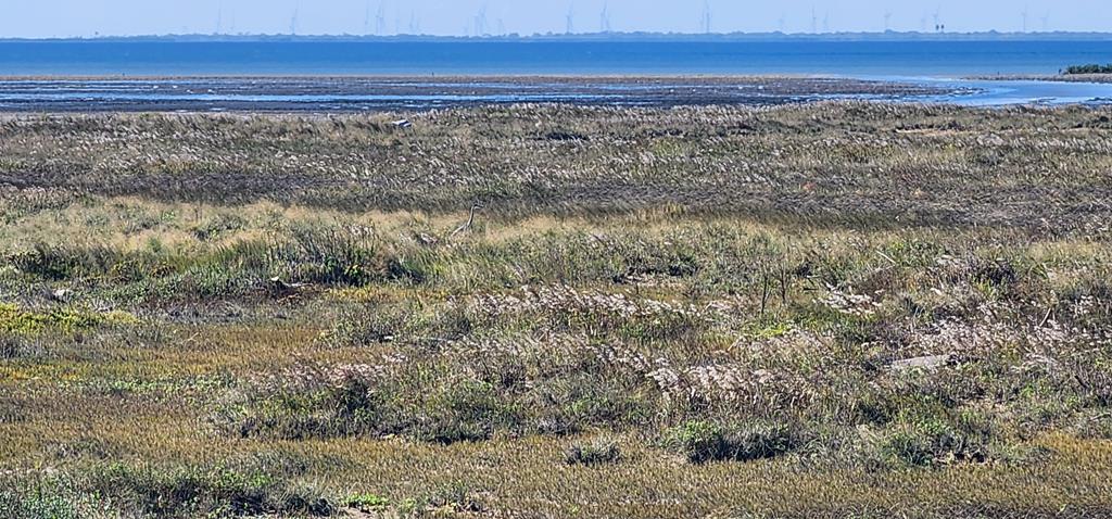 Lot 97 Tract 25 South Padre Island TX 78597