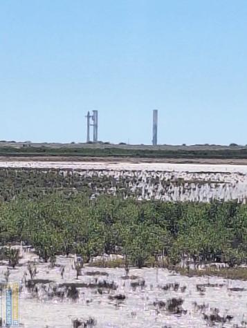 374 Sand Dollar Port Isabel TX 78578