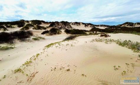 Dunes N Abstract 260 South Padre Island TX 78597