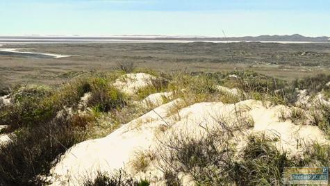 Dunes N Abstract 260 South Padre Island TX 78597