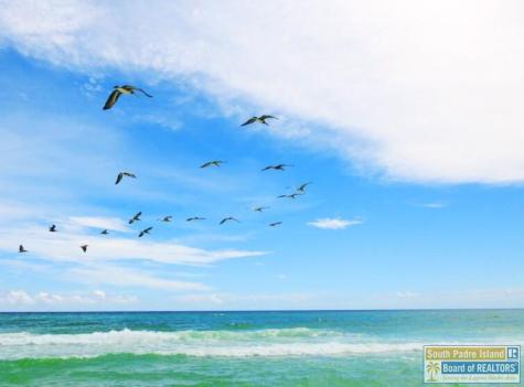 Tract 57 N Ocean Boulevard South Padre Island TX 78597