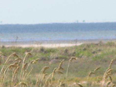 Other South Padre Island TX 78597