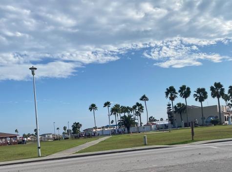 Abalone Circle Port Isabel TX 78578