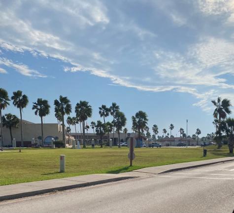 Abalone Circle Port Isabel TX 78578