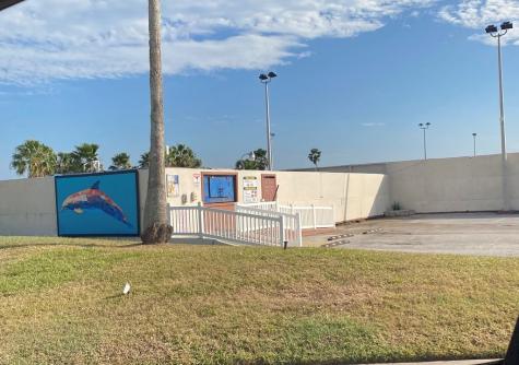 Abalone Circle Port Isabel TX 78578