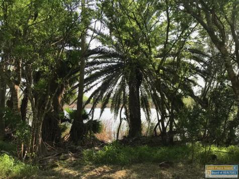 Lot 14 Palm Drive Bayview TX 78566