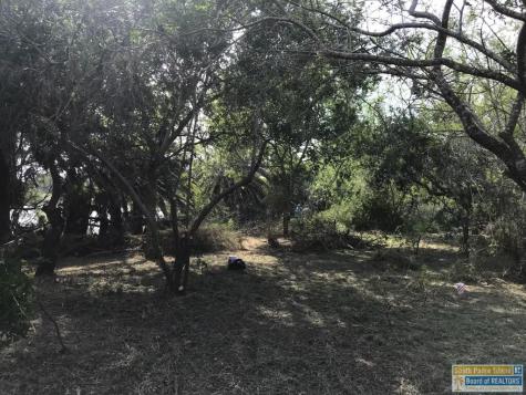Lot 14 Palm Drive Bayview TX 78566