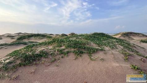 Tract 66 N Ocean Boulevard South Padre Island TX 78597-7657