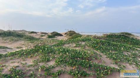 Tract 66 N Ocean Boulevard South Padre Island TX 78597-7657